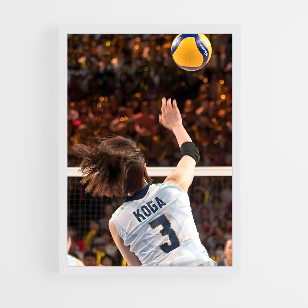 Poster Volleyball league (vue 3)